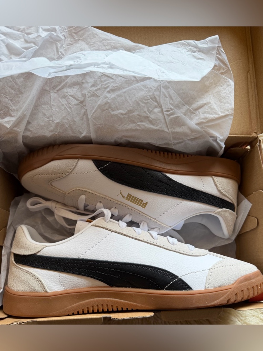 Puma club 5v5 suede